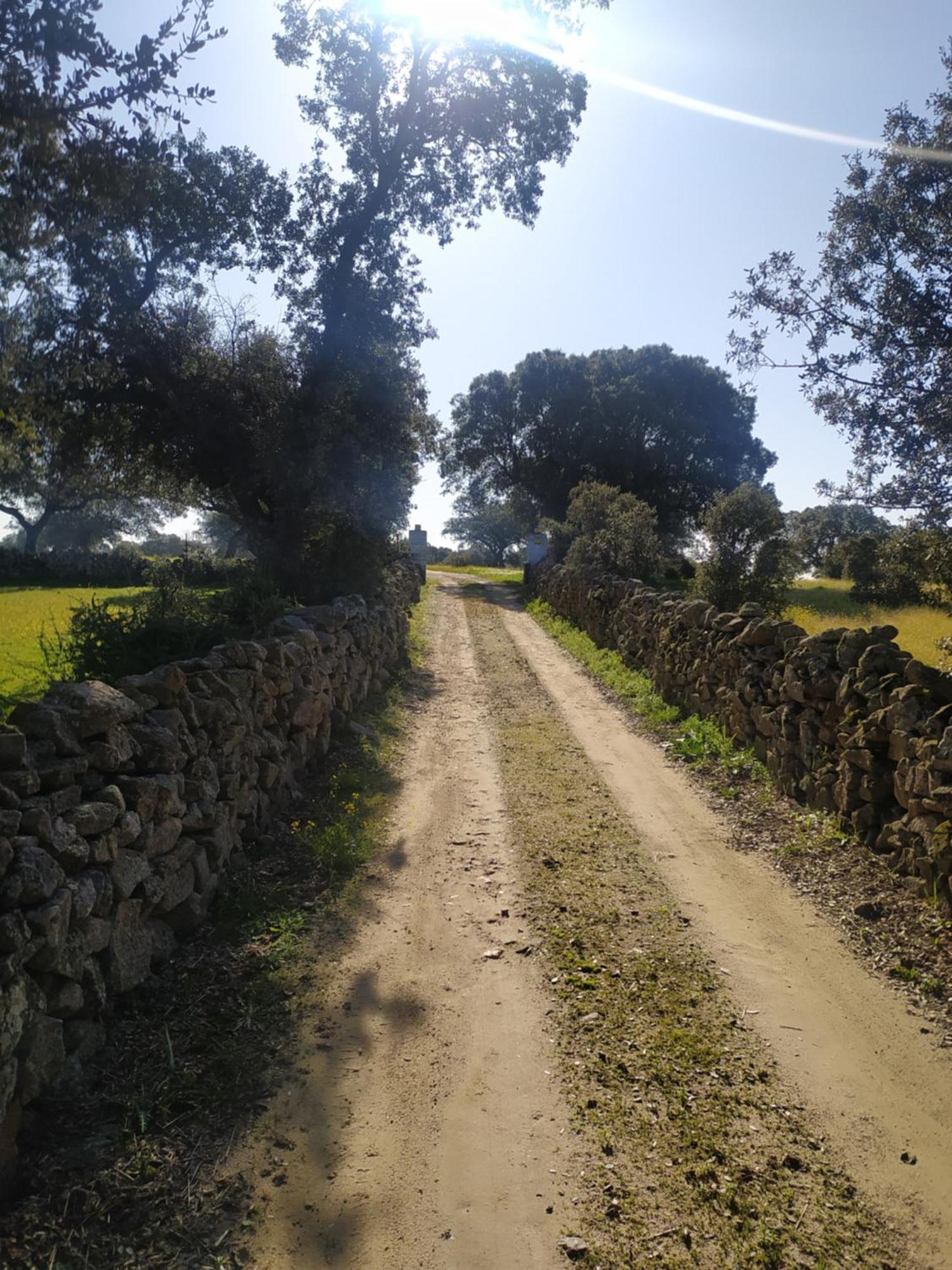 Finca Las Gamitas Almoharin Buitenkant foto
